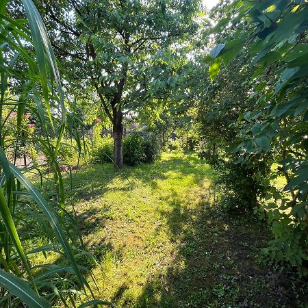 Apartament Wojska Polskiego 35 Villa Wadowice Esterno foto