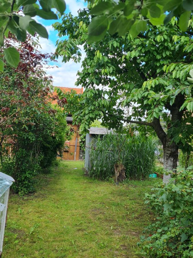 Apartament Wojska Polskiego 35 Villa Wadowice Esterno foto